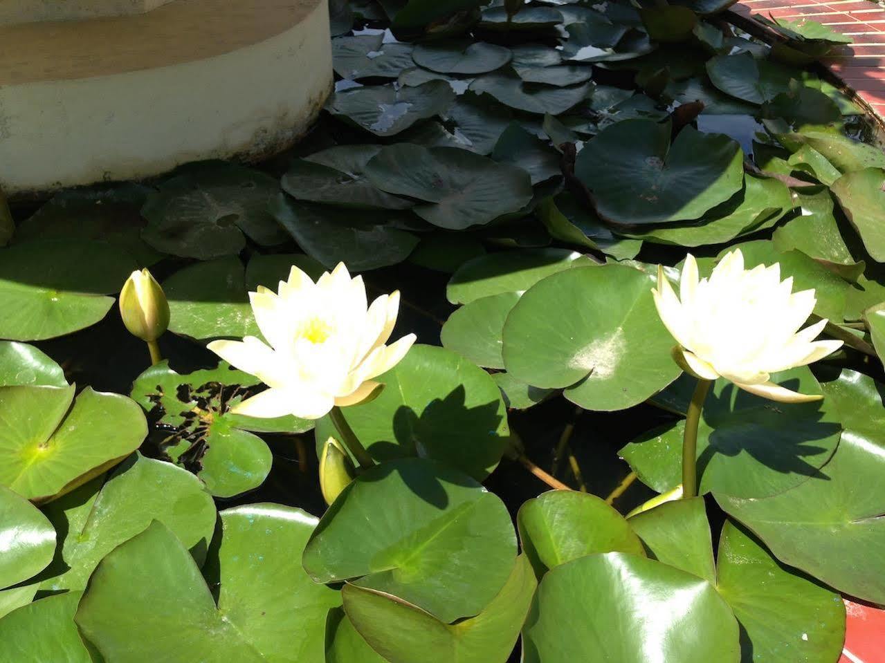 Paradise Hotel Nyaung Shwe Inle Lake Exterior foto